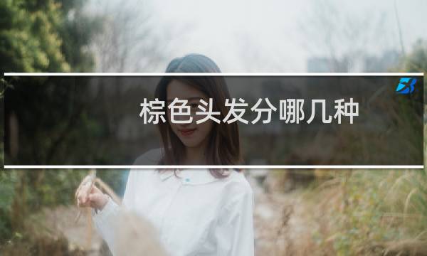棕色头发分哪几种