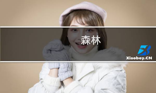 森林 攻略顺序