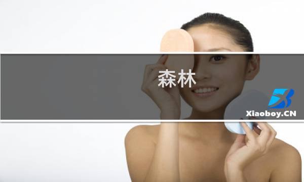 森林 结局攻略