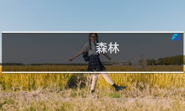 森林 防御攻略