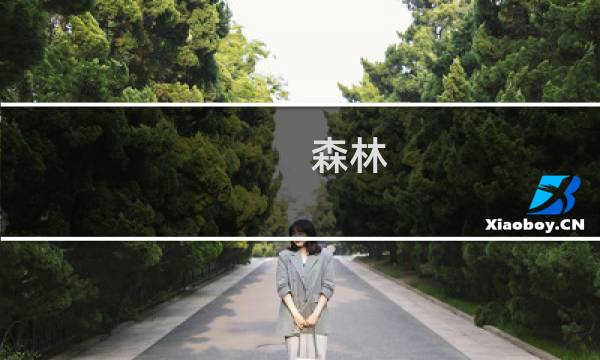森林 boss攻略