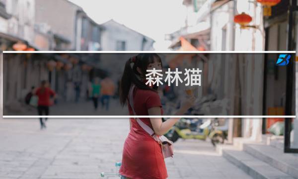 森林猫 攻略