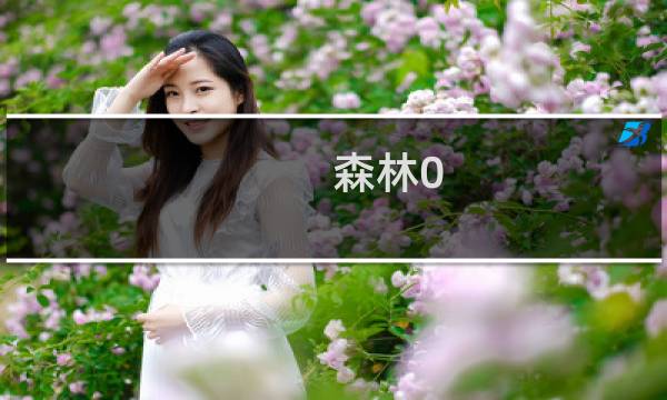 森林0.64攻略