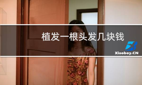植发一根头发几块钱
