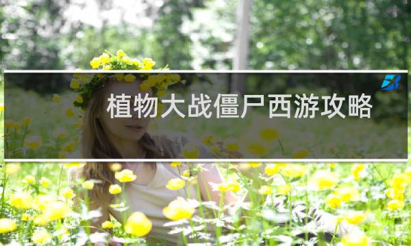植物大战僵尸西游攻略