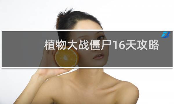 植物大战僵尸16天攻略