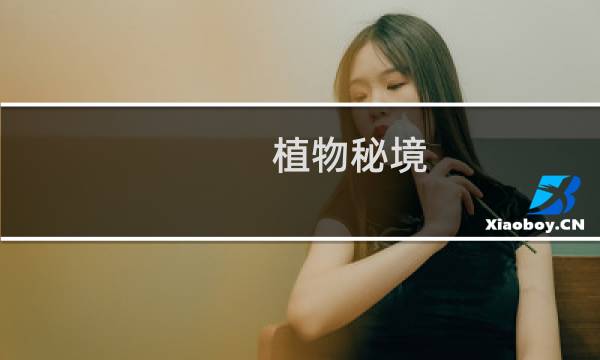 植物秘境 攻略