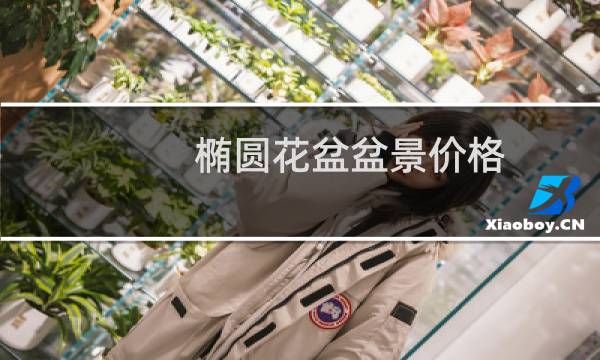 椭圆花盆盆景价格