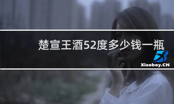 楚宣王酒52度多少钱一瓶