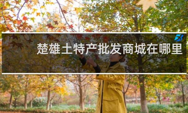 楚雄土特产批发商城在哪里