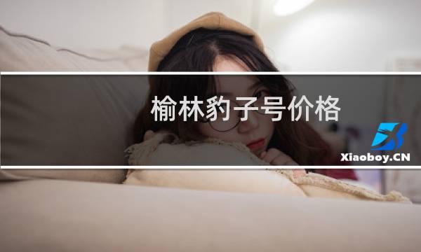 榆林豹子号价格