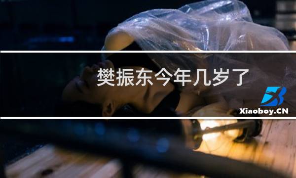 樊振东今年几岁了