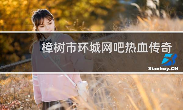 樟树市环城网吧热血传奇