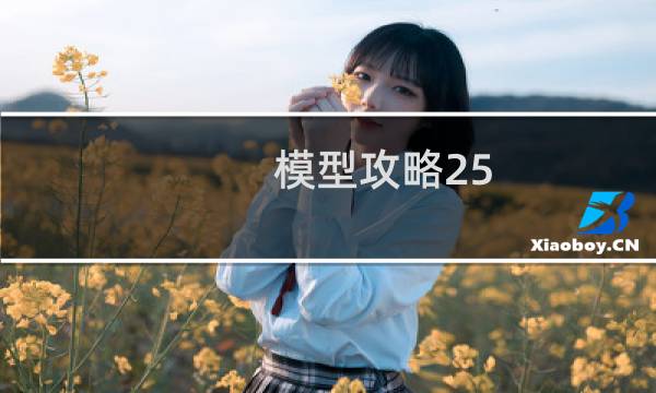 模型攻略25