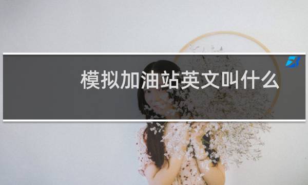 模拟加油站英文叫什么
