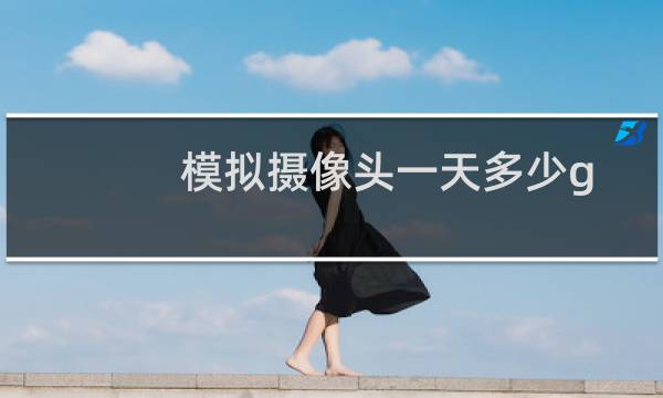模拟摄像头一天多少g