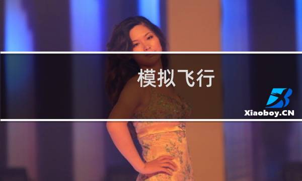 模拟飞行 攻略
