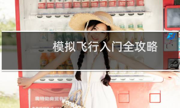 模拟飞行入门全攻略