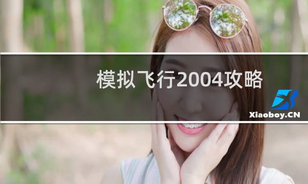 模拟飞行2004攻略