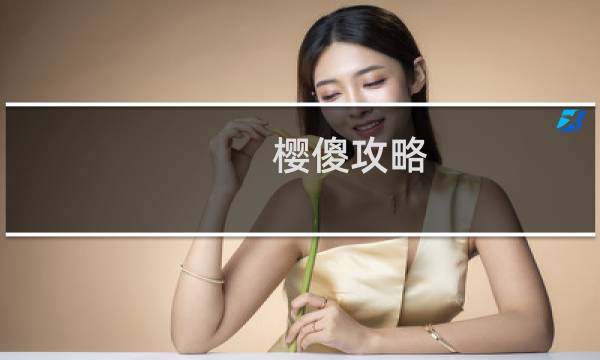 樱傻攻略