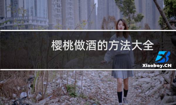 樱桃做酒的方法大全