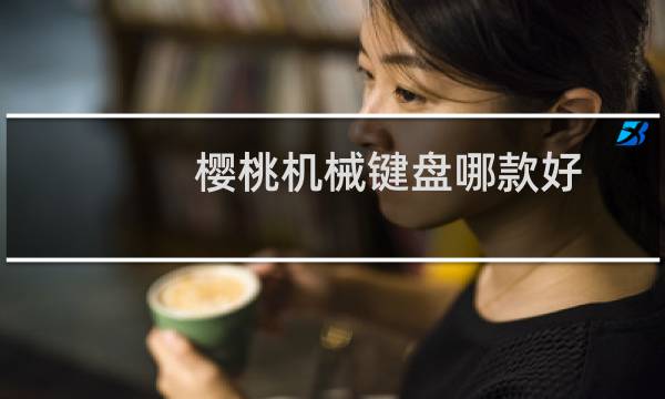 樱桃机械键盘哪款好