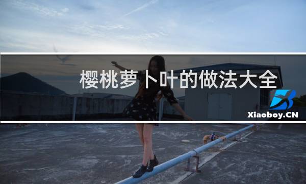樱桃萝卜叶的做法大全