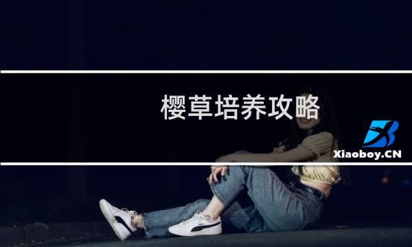 樱草培养攻略