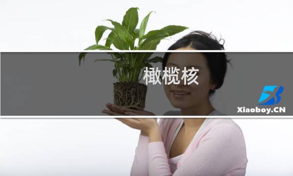 橄榄核 纯手工价格