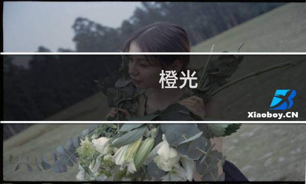 橙光 助理攻略
