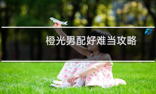 橙光男配好难当攻略