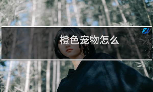 橙色宠物怎么