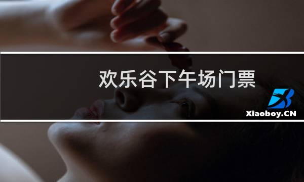 欢乐谷下午场门票