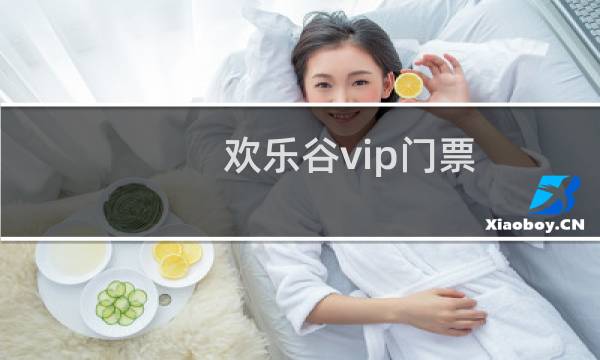 欢乐谷vip门票