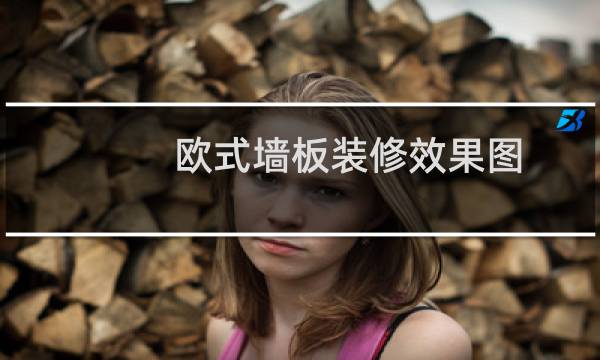 欧式墙板装修效果图