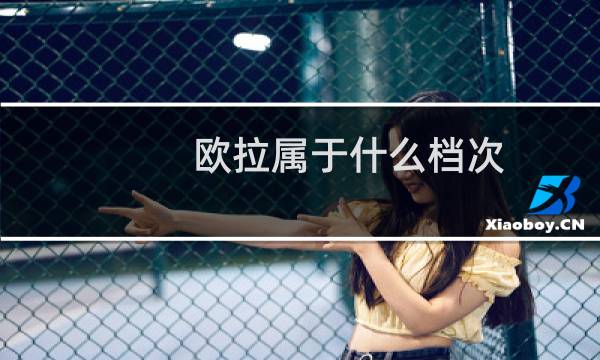 欧拉属于什么档次