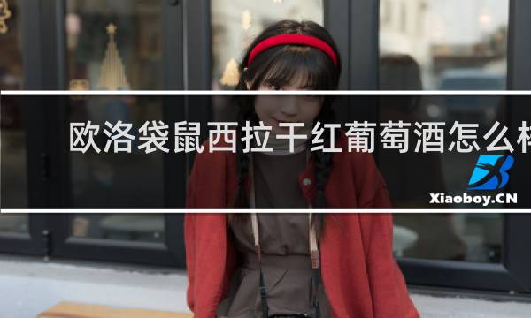 欧洛袋鼠西拉干红葡萄酒怎么样