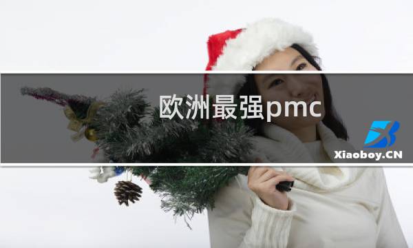 欧洲最强pmc