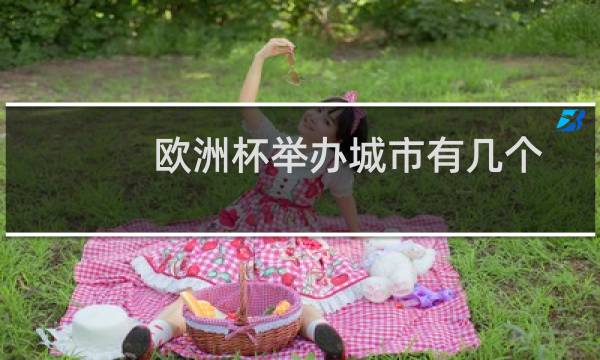 欧洲杯举办城市有几个