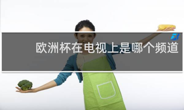 欧洲杯在电视上是哪个频道