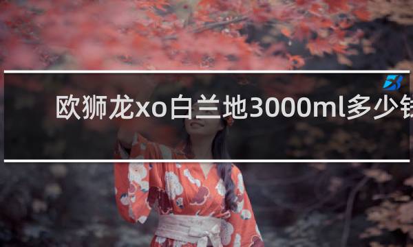 欧狮龙xo白兰地3000ml多少钱