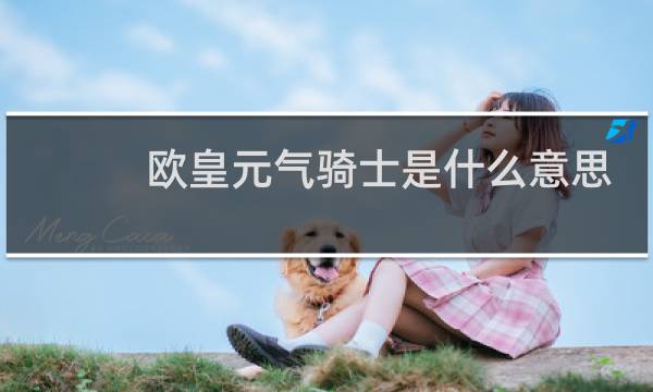 欧皇元气骑士是什么意思