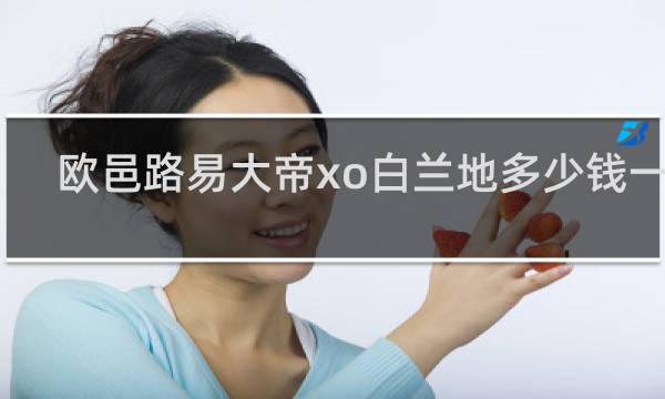 欧邑路易大帝xo白兰地多少钱一瓶