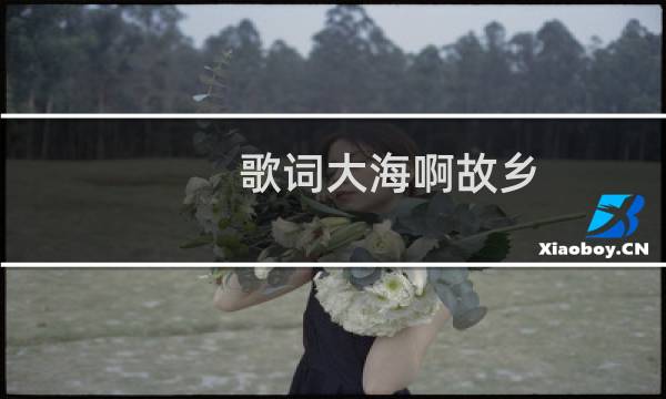 歌词大海啊故乡