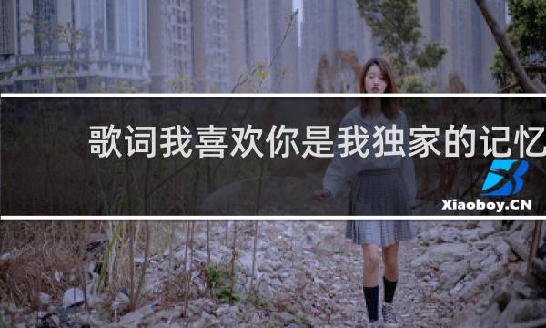 歌词我喜欢你是我独家的记忆