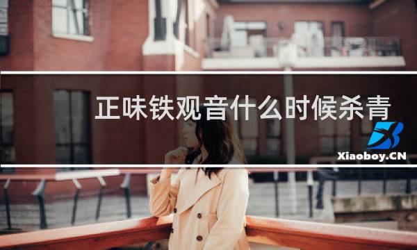 正味铁观音什么时候杀青