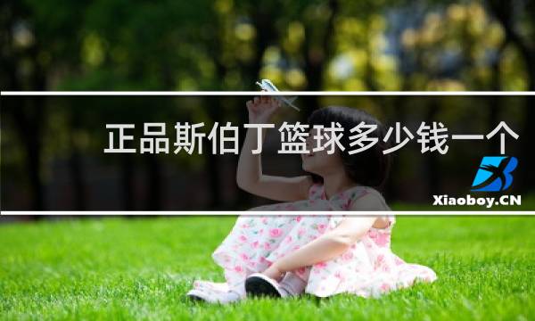 正品斯伯丁篮球多少钱一个