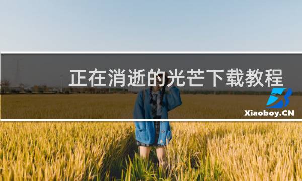 正在消逝的光芒下载教程