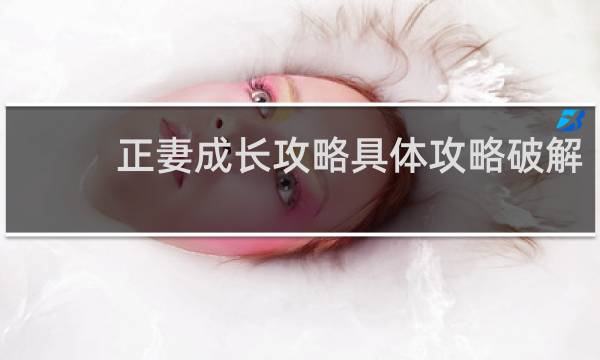 正妻成长攻略具体攻略破解