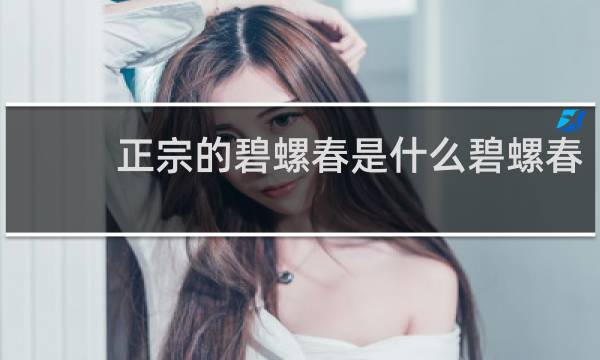 正宗的碧螺春是什么碧螺春